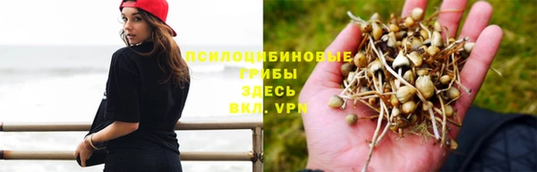 ALPHA PVP Заволжск