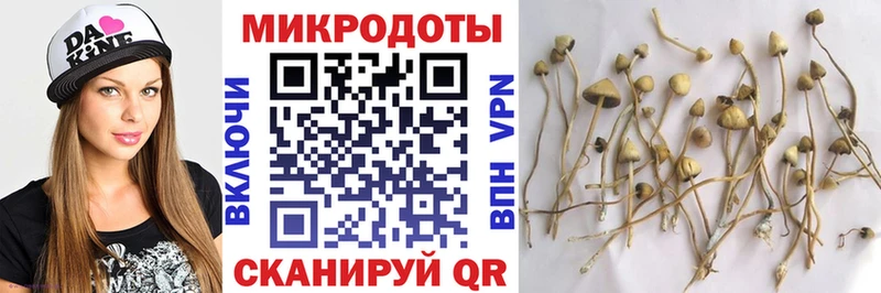 продажа наркотиков  Грозный  Псилоцибиновые грибы мухоморы 