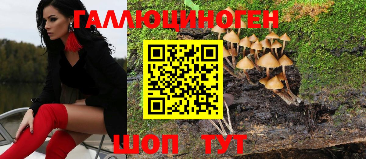 Псилоцибиновые грибы Cubensis  Грозный  Псилоцибиновые грибы Psilocybe 